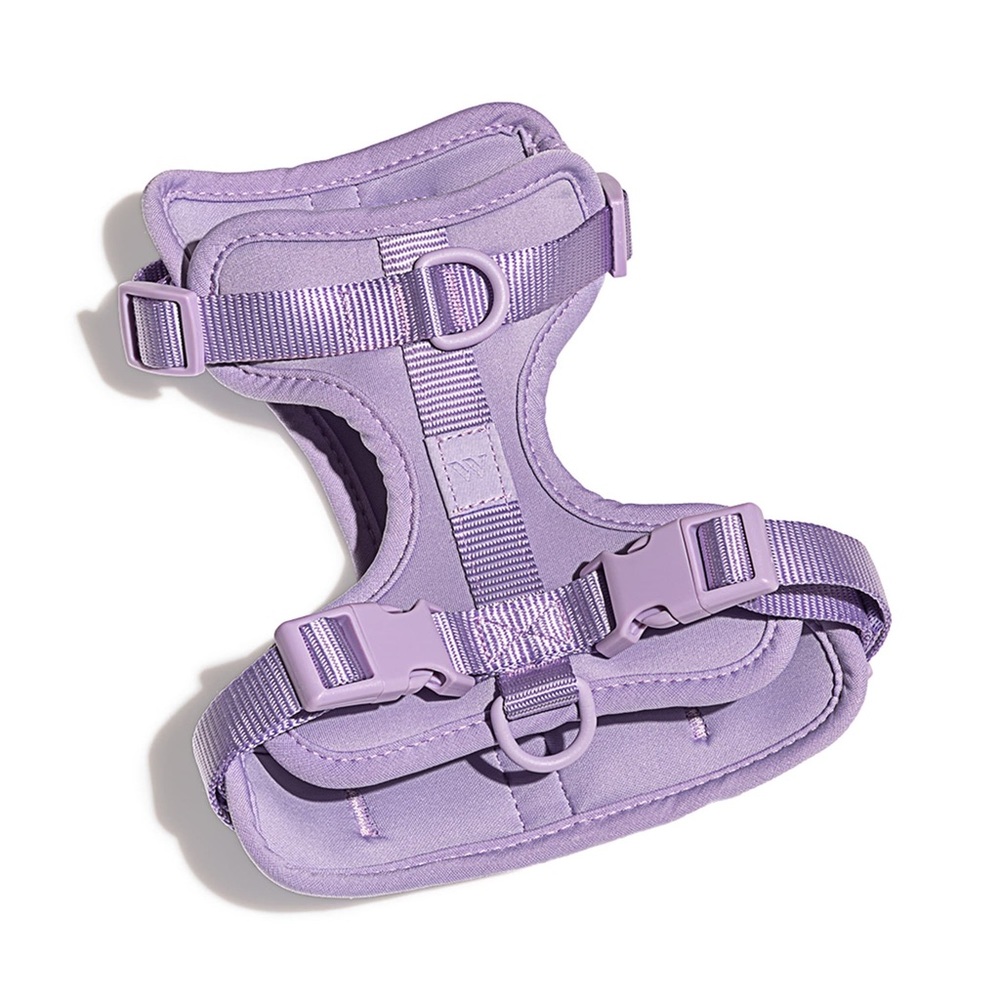 Purple Dog Harness